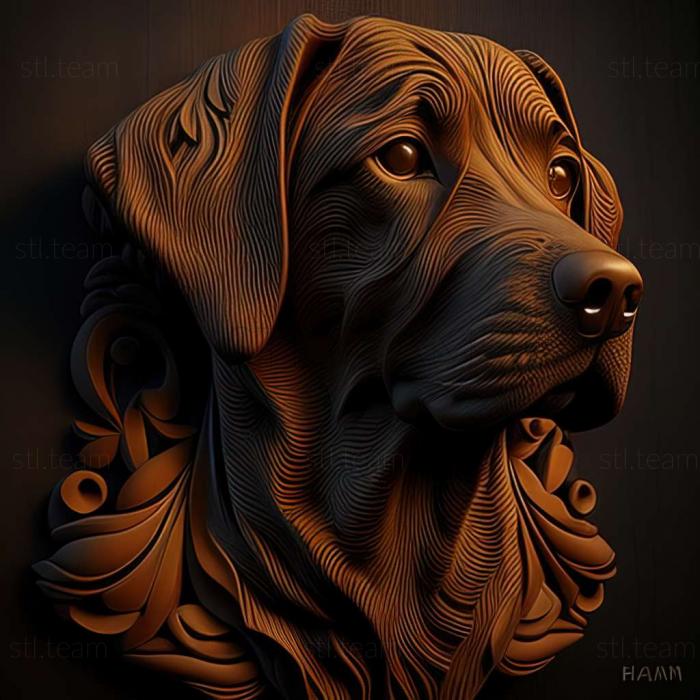 3D model Kintamani dog breed dog (STL)